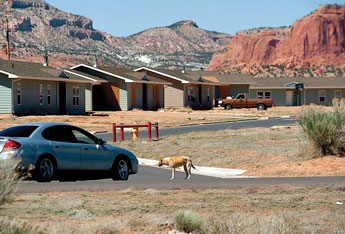 An untethered dog has a close encounter with a car at a Navajo Housing Authority community in Iyanbito Chapter on Wednesday. Area residents have long complained about the number of stray and untethered dogs. © 2011 Gallup Independent / Adron Gardner 